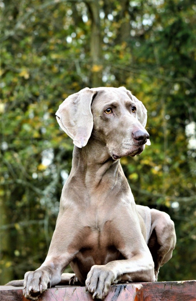513588355_24060676976952762_2363560132455023510_n