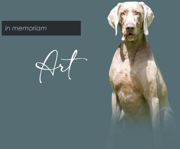 art iko